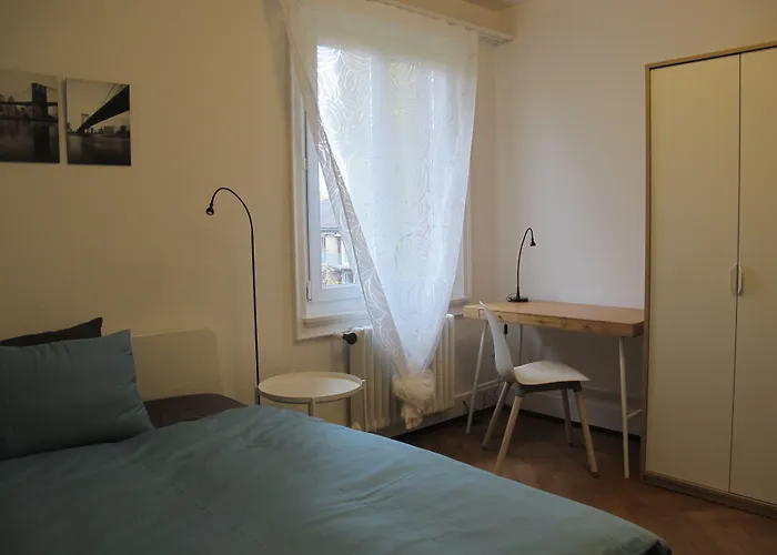 公寓 Furnished 苏黎世