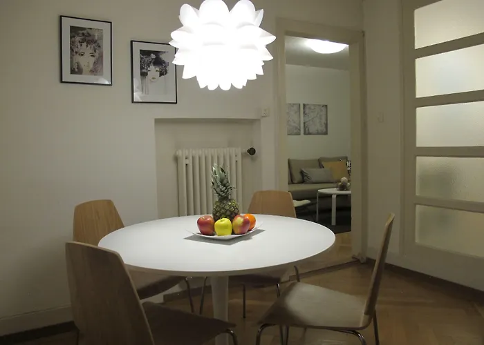 Furnished 公寓 苏黎世